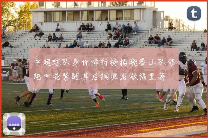 中超球队身价排行榜揭晓泰山队领跑申花紧随其后铜梁龙涨幅显著