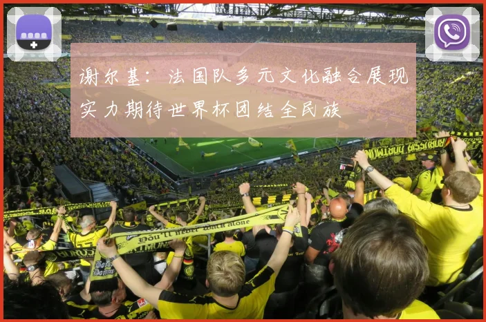 谢尔基：法国队多元文化融合展现实力期待世界杯团结全民族