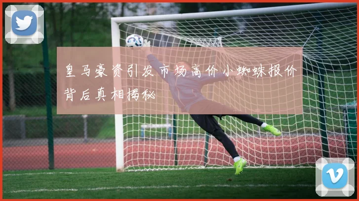 皇马豪资引发市场高价小蜘蛛报价背后真相揭秘